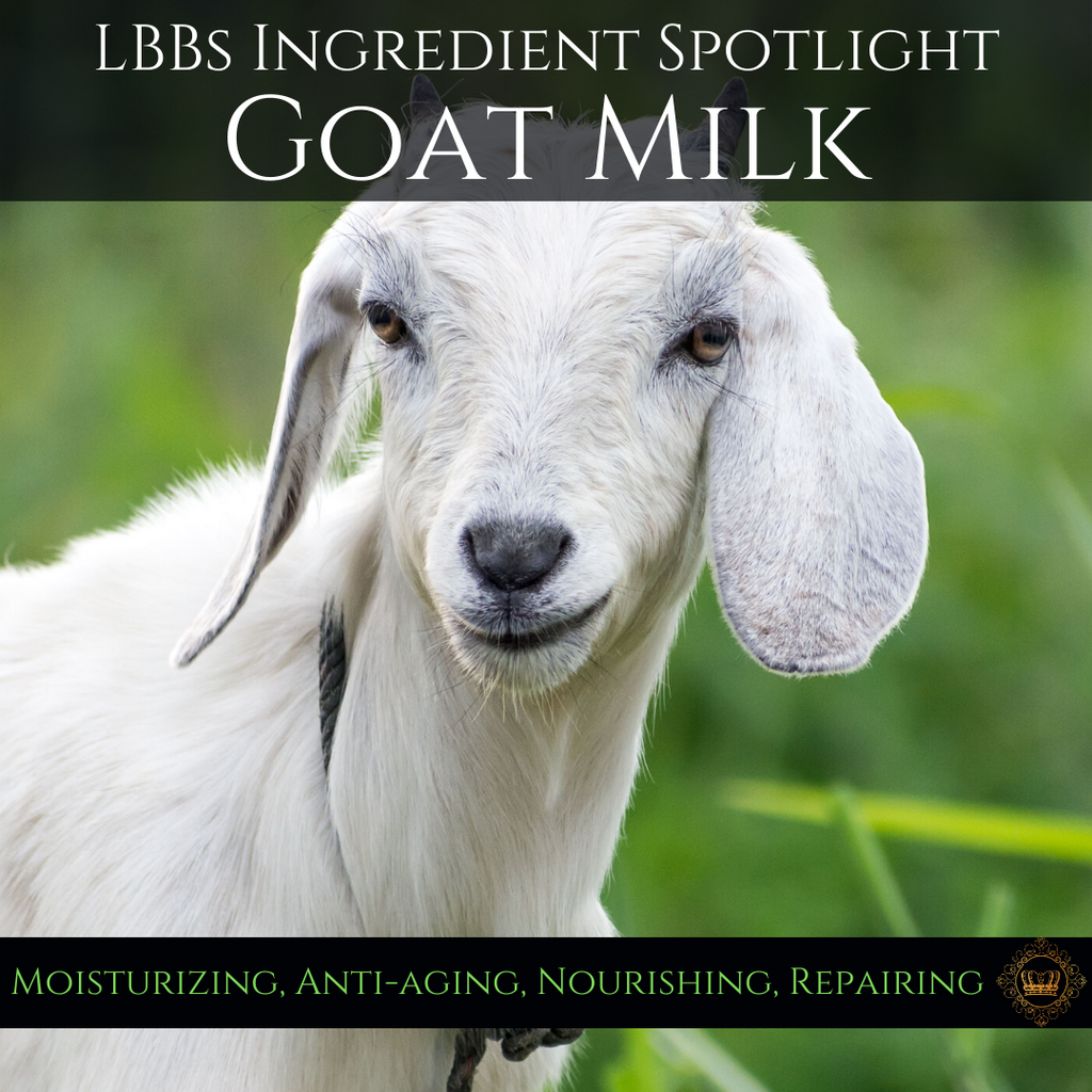 Ingredient Spotlight: Goat Milk